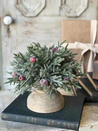 12" Peppermint Frost Half Sphere