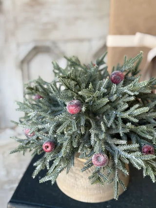 12" Peppermint Frost Half Sphere