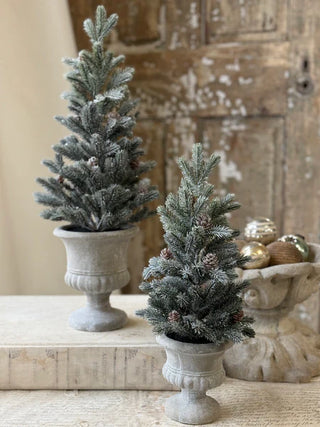 The Snowy Aristocrat Tree - Choose Size