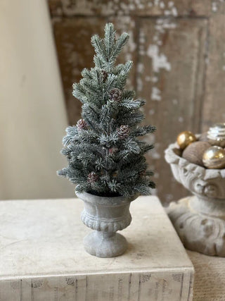 The Snowy Aristocrat Tree - Choose Size