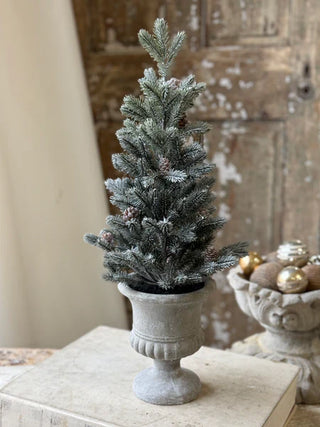 The Snowy Aristocrat Tree - Choose Size