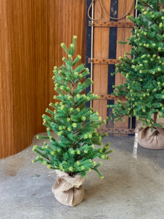 Gracious Greens Pine Tree - Choose Size
