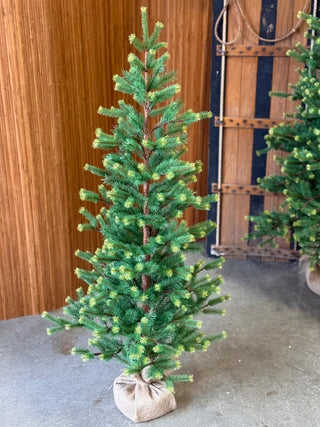 Gracious Greens Pine Tree - Choose Size