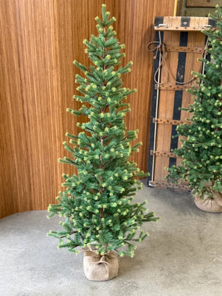Gracious Greens Pine Tree - Choose Size
