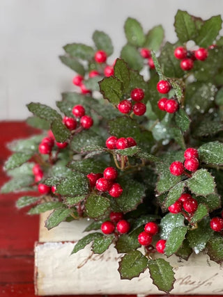 10" Holly Half Sphere w/ Berry