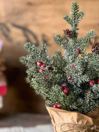 12" Merry Market Pot