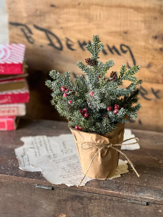12" Merry Market Pot