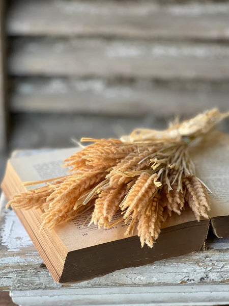 Tassel Grass Bundle