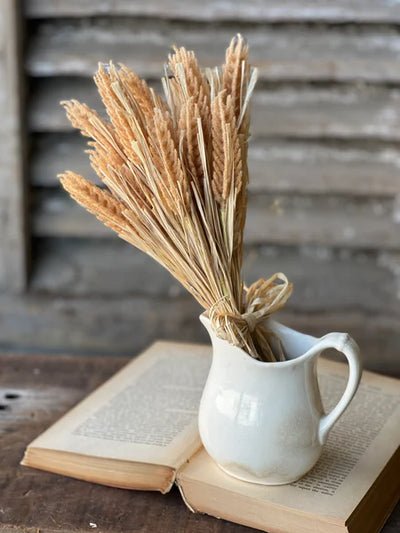 Tassel Grass Bundle