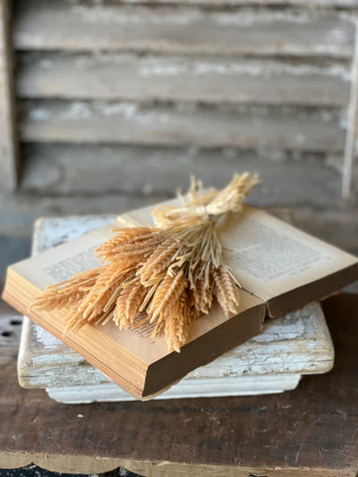 Tassel Grass Bundle