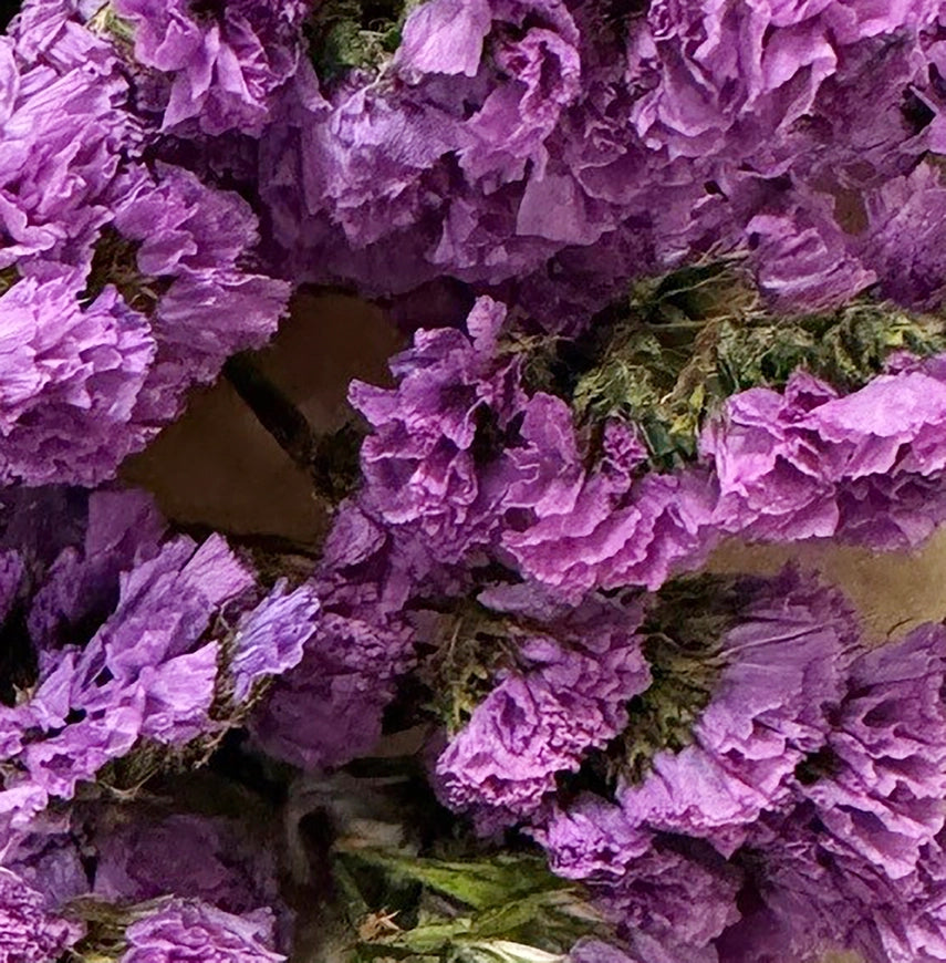 Magenta Dried Statice Flower Bundle