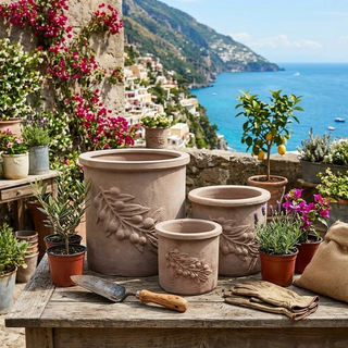 Oliva Terra Cotta Pot - Choose Size