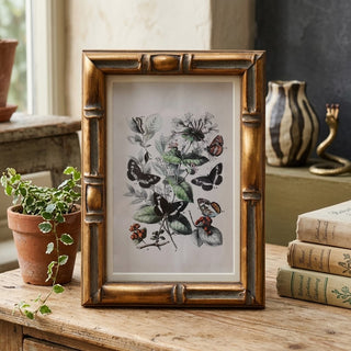The Burnley Matted Frame - 4"x 6"