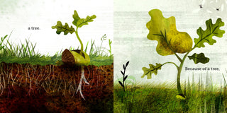 Because Of An Acorn Book