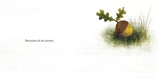 Because Of An Acorn Book