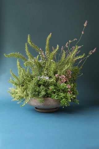 Bergs Potter The Ada Raw Grey Planter and Saucer Set
