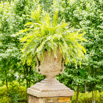 Aged French Manor Urn