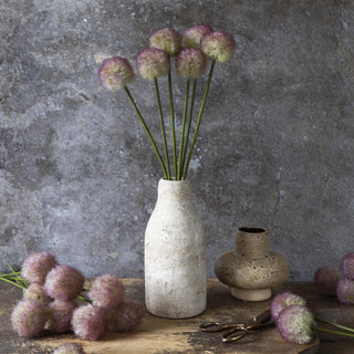 19" Allium Sunset Stem