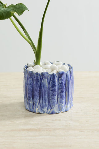 The Amalfi Pot