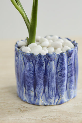 The Amalfi Pot