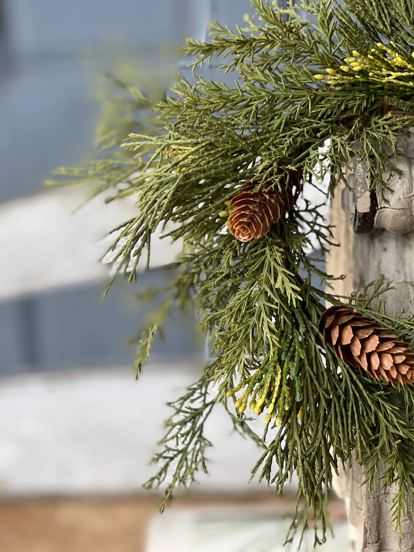 Alpine Cedar Candle Ring