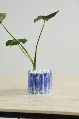 The Amalfi Pot