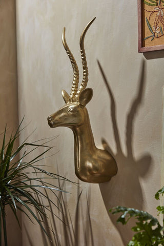 The Antelope Head