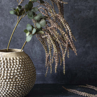 40" Amaranthus Blush Stem