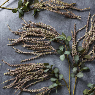 40" Amaranthus Blush Stem
