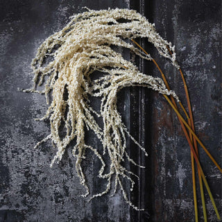 30" Cream Amaranthus Stem