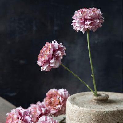 16.5" Blush Carnation Stem
