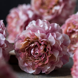 16.5" Blush Carnation Stem