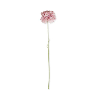 16.5" Blush Carnation Stem
