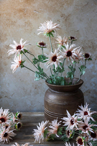 29" Blush Chrysanthemum Stem