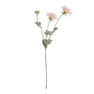 29" Blush Chrysanthemum Stem