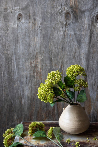 22" Olive Viburnum Stem