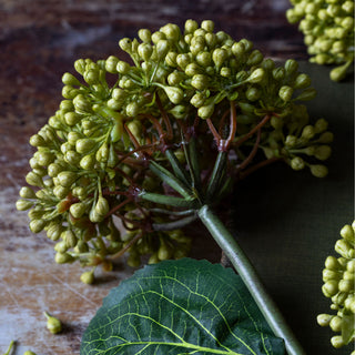 22" Olive Viburnum Stem
