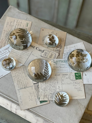 Natural Wonders Glass Paperweight - Choose Style