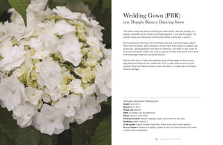 Hydrangeas - Beautiful Varieties for Home and Garden