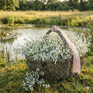 26" White Baby's Breath Spray