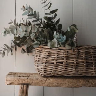 The Surrey Basket