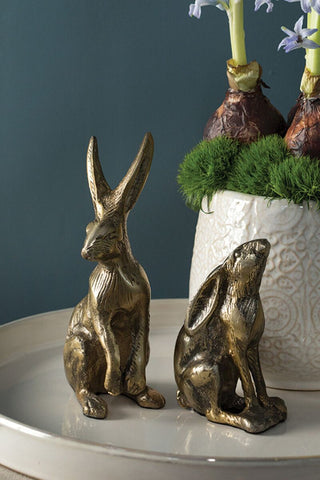Bea Bunny - Choose Style
