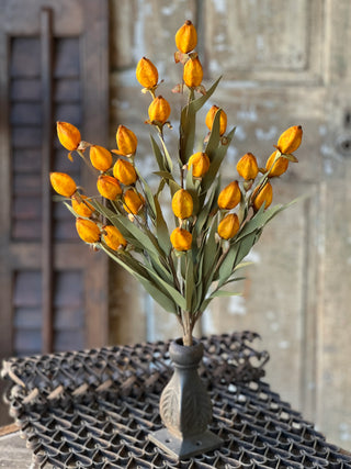 23" Beacon Spray - Saffron
