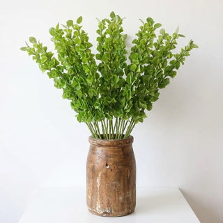 42" Bells of Ireland Stem