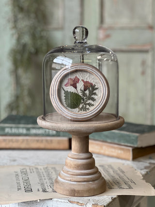 11.5" Belvedere Cloche