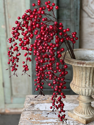 Iced Weatherproof Berry Spray