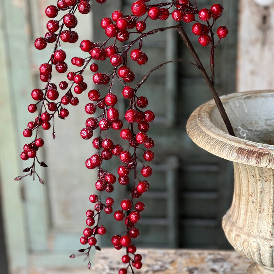 View of Tallahassee Online Auction | !!10 Pcs Farmhouse Kitchen Decor| MON 94?...