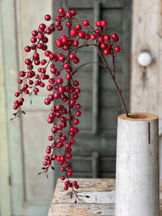 Iced Weatherproof Berry Spray