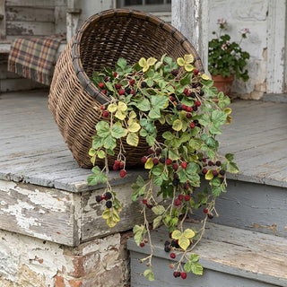 38" Black Raspberry Stem