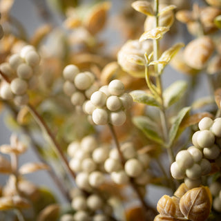 The Berry Wreath